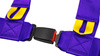 Pasy sportowe Slide V2 Fioletowe 4P 3" E4