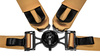 Racing seat belts Slide V2 Quick GOLD 4P 3"